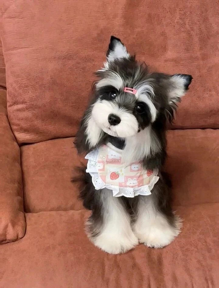 いちご